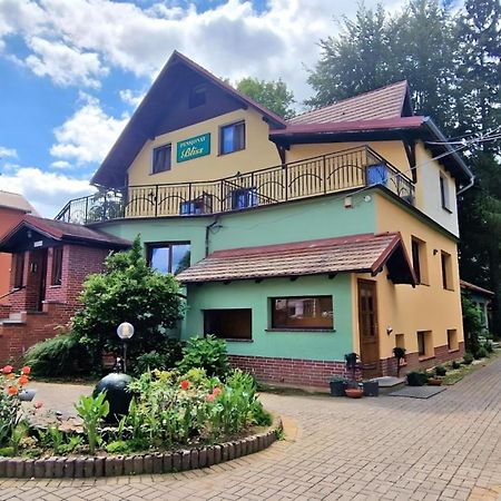Pensjonat Bliss Polanica-Zdrój Exterior foto